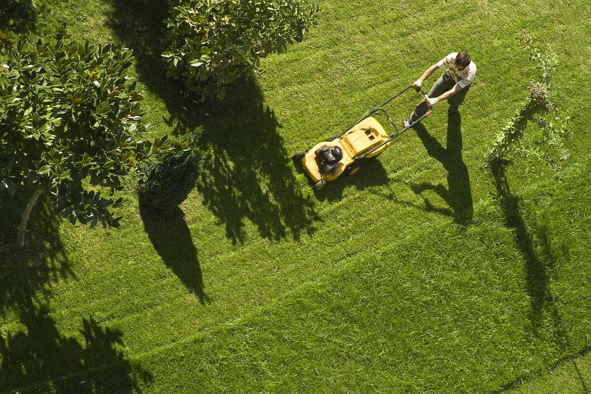 Team working on lawn care